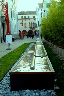 23 gennaio 2010 (178)r.JPG