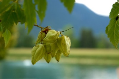 12 agosto 2009 (31)r.JPG