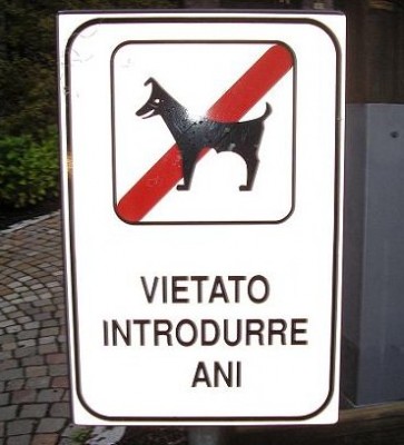 Courmayeur Danilo (16).JPG