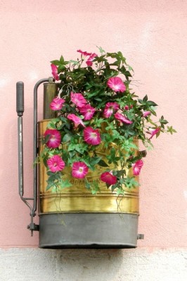 20 marzo  2010 Belluno (1)r.JPG