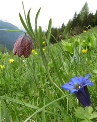 IMG_5655 b (Small).jpg