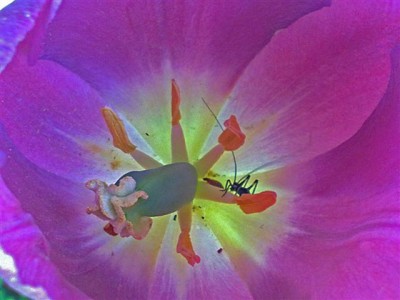 280420102001 (Small).jpg