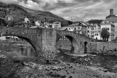 DSC_01091 (Small).jpg