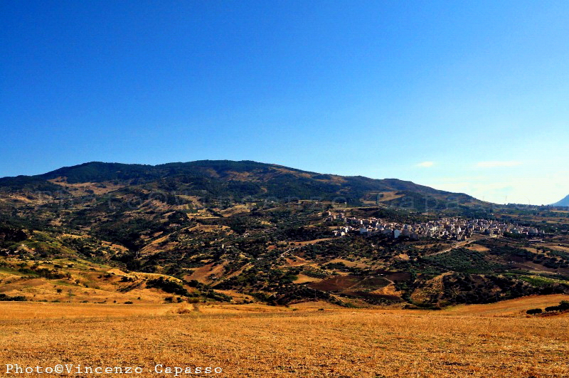 File:Aliminusa Pan.jpg