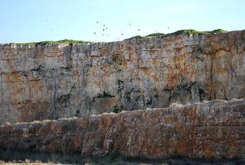 File:Altamura - Valle dei Dinosauri.jpg