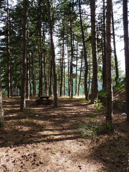 File:Antrodoco - Pineta.jpg