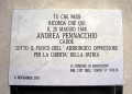Bardolino - Lapide commemorativa a Andrea Pennacchio - Via Borgo Giuseppe Garibaldi.jpg