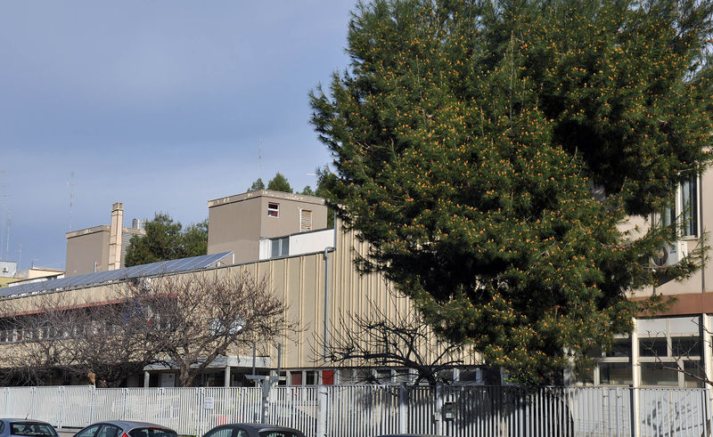 File:Bari - IPSSCT Tridente.jpg