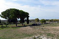 Capaccio - Paestum Poseidonia 3.jpg