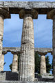 Capaccio - Tempio Atena Hera Paestum 7.jpg