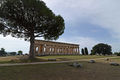Capaccio - Tempio di Nettuno a Paestum.jpg