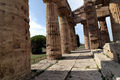 Capaccio - Tempio di Nettuno a Paestum 14.jpg