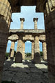 Capaccio - Tempio di Nettuno a Paestum 20.jpg