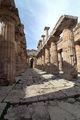 Capaccio - Tempio di Nettuno a Paestum 22.jpg