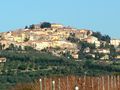 Castagneto Carducci - Panorama.jpg