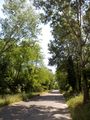 Chianocco - Frazione Zoie - Vernetto - Grangia - Strada interna di collegamento con Comune San Giorio (tratto) (1).jpg