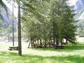 Courmayeur - Frazione Entreves - Area attrezzata per pic-nic (2).jpg
