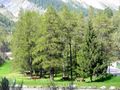 Courmayeur - Frazione Entreves - Area attrezzata per pic-nic (4) - Panoramica.jpg