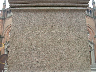 Crevalcore - Lapide a Marcello Malpighi.jpg