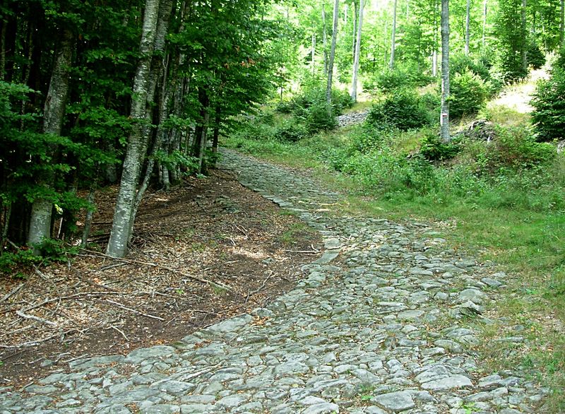 File:Frassinoro - Via Vandelli.jpg