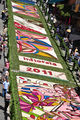Genzano di Roma - l'Infiorata del 2011.jpg