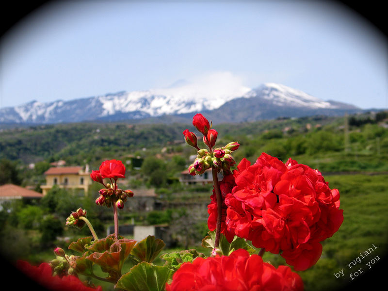 File:IMG 7639 copia.jpg