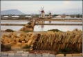 Marsala - saline.jpg