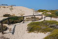 Maruggio - Parco delle Dune di Campomarino - sentiero - 8.jpg