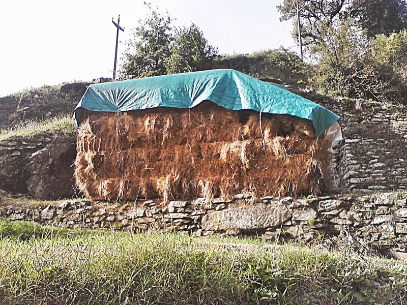 File:Montale - Fognano - granaio.jpg