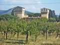 Montale - Villa Smilea - Villa Smilea dal Fangaccio 2.jpg
