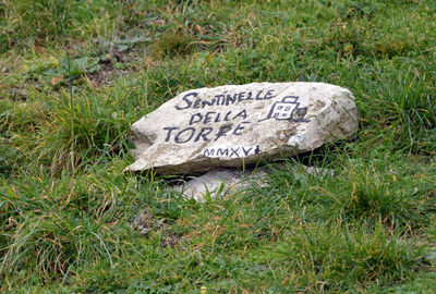 Montesarchio - Sentinelle della Torre.jpg