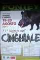 Pontey - Sagra del cinghiale - Locandina anno 2011.jpg