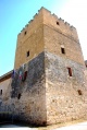 Pulsano - Castello De Falconibus - torre.jpg