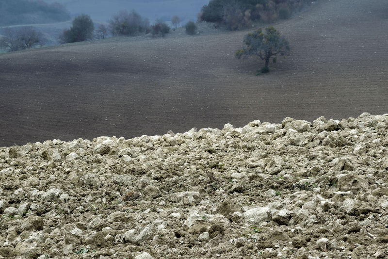 File:Salandra - Calanchi 2.jpg