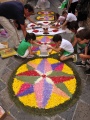 San Gemini - infiorata 7.jpg