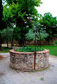 San Gimignano - Rocca di Montestaffoli - pozzo della rocca nel giardino.jpg