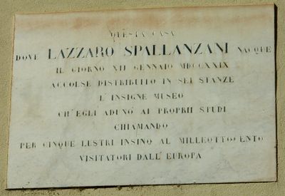 Scandiano - Lapide a Lazzaro Spallanzani.jpg