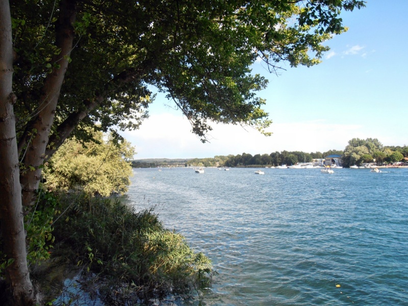 File:Sesto Calende - Ticino.jpg