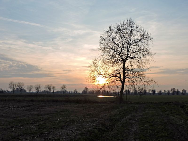 File:Truccazzano - Scorcio.jpg