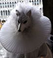 Venezia - Carnevale 2014 - Fra Calli e Piazze 38.jpg