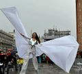 Venezia - Carnevale 2014 - Spettacoli 3.jpg