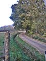 Vicchio - Vespignano - paesaggio 3.jpg